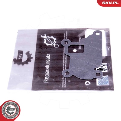 OPEL 1.0 12V 1.2 16V 1.4 16V EGR REPAIR KIT