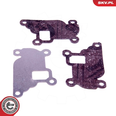 OPEL 1.0 12V 1.2 16V 1.4 16V EGR REPAIR KIT