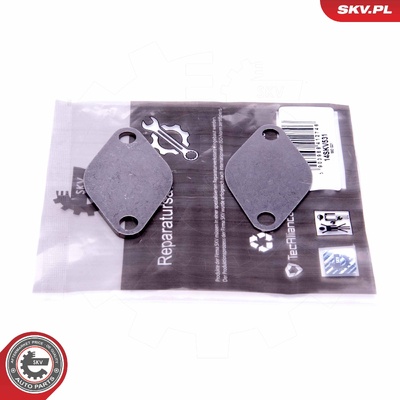 VAG 1.4 1.9 2.0 2.5 TDI EGR REPAIR KIT