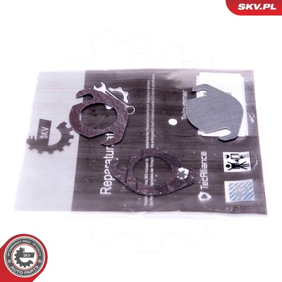VAG V6 2.5 TDI AKE AYM BCZ BFC BAU AFB AKN EGR REPAIR KIT
