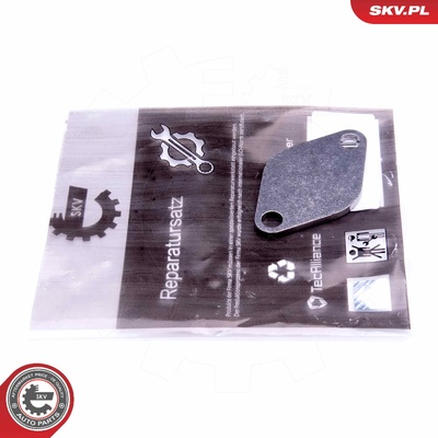 VAG 1.4 1.9 2.0 2.5 TDI EGR REPAIR KIT