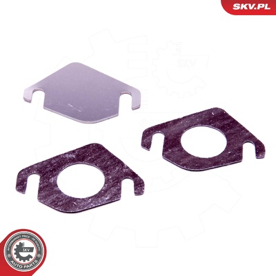 PEUGEOT CITROEN FORD MAZDA MINI VOLVO 1.4 1.6 DIESEL EGR REPAIR KIT