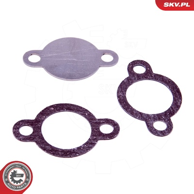 NISSAN 2.5 D40 D22 YD25 EGR REPAIR KIT