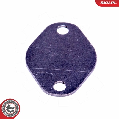 PEUGEOT CITROEN FIAT 2.0 8V HDI JTD EGR REPAIR KIT