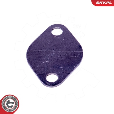 RENAULT 1.9 DCI 130HP DIESEL EGR REPAIR KIT