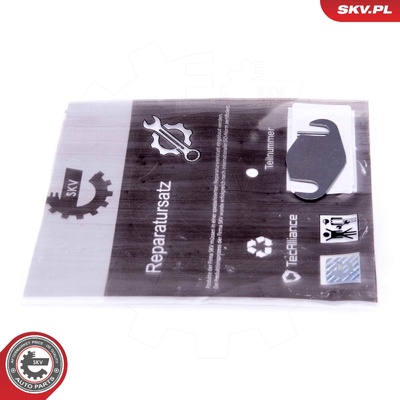 SMART FORTWO 450 0.8 CDI EGR REPAIR KIT