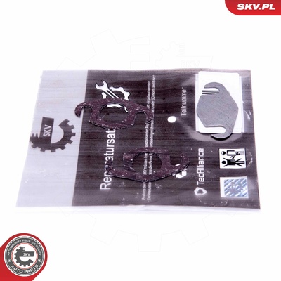 SMART FORTWO 450 0.8 CDI EGR REPAIR KIT
