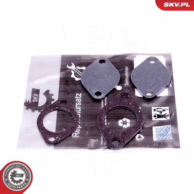 VAG V6 2.5 TDI EGR REPAIR KIT