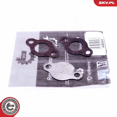 TOYOTA 2.0 2.2 D4D EGR REPAIR KIT