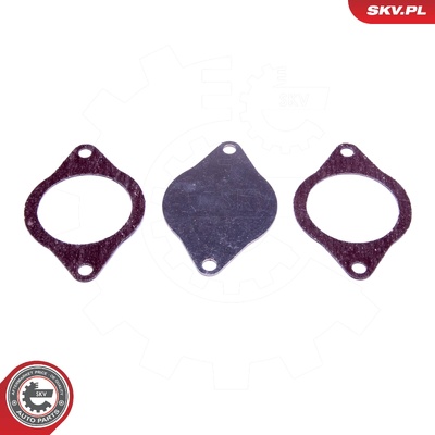 CITROEN PEUGEOT 2.0 HDI FORD TDCI 16V DIESEL EGR REPAIR KIT