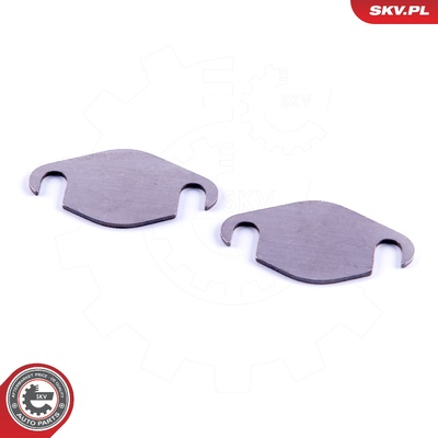 CITROEN PEUGEOT JAGUAR 2.7 V6 HDI (PSA DT17) TDV6 (AJD-V6) DIESEL EGR REPAIR KIT