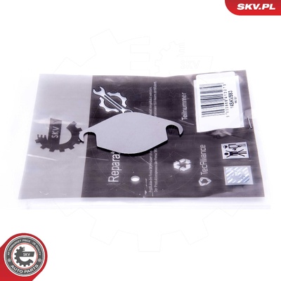 RENAULT NISSAN OPEL 2.0 DCI CDTI EGR REPAIR KIT