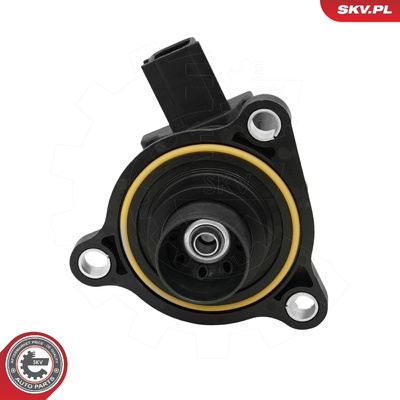 DACIA DUSTER RENAULT SCENIC IV III SCV VALVE | OEM 144839204R