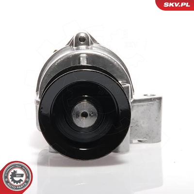 FORD TRANSIT VACUUM PUMP | OEM 1094631