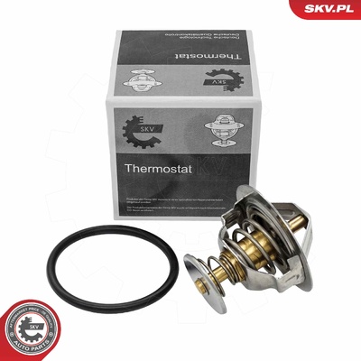 CITROEN JUMPER II FIAT DUCATO PEUGEOT BOXER FORD MONDEO III TRANSIT THERMOSTAT | OEM 1096283