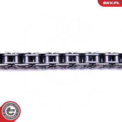 AUDI SEAT SKODA VW OIL PUMP CHAIN KIT