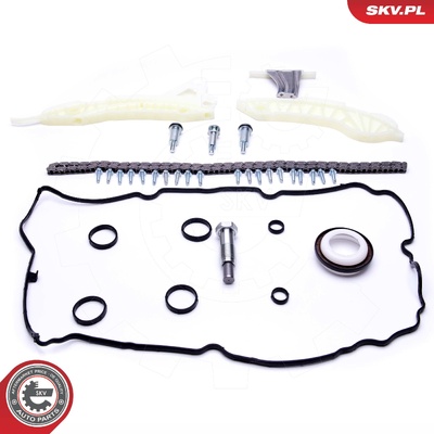 BMW CITROEN MINI PEUGEOT TIMING CHAIN KIT