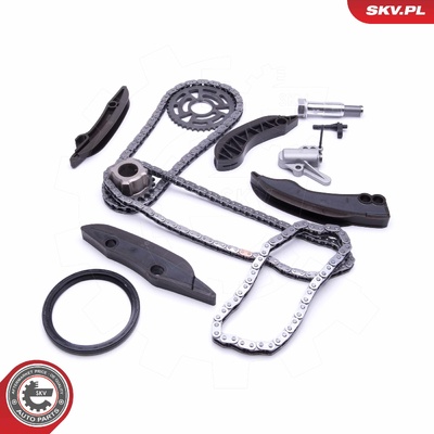 BMW MINI TOYOTA TIMING CHAIN KIT