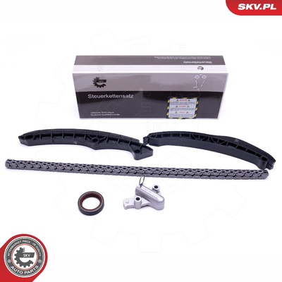 AUDI SKODA VW TIMING CHAIN KIT