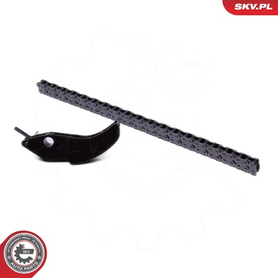 CITROEN FORD FIAT JAGUAR PEUGEOT TIMING CHAIN KIT
