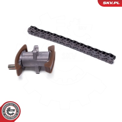 AUDI A4 B6 B7 A6 C5 VW PASSAT B5.5 TIMING CHAIN KIT