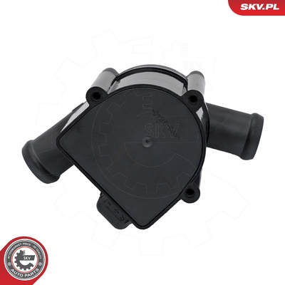Water pump 22SKV052