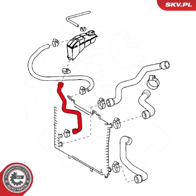 MERCEDES-BENZ E-CLASS RADIATOR HOSE | OEM 2105012082