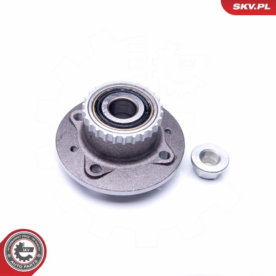 RENAULT KANGOO REAR WHEEL HUB BEARING | OEM 713630690