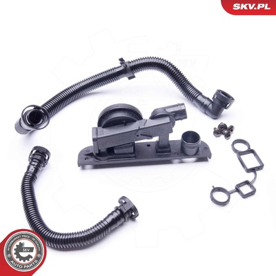 Valve, crankcase breather - kit 31SKV005