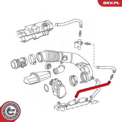 MERCEDES-BENZ CLK 3.2 4.3 5.5 S-CLASS W220 2.8 3.2 3.8 VITO 3.2 OIL HOSE | OEM A1120180182