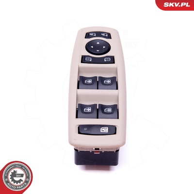 RENAULT FLUENCE MEGANE III ELECTRIC CAR WINDOW CONTROL | OEM 254000006R
