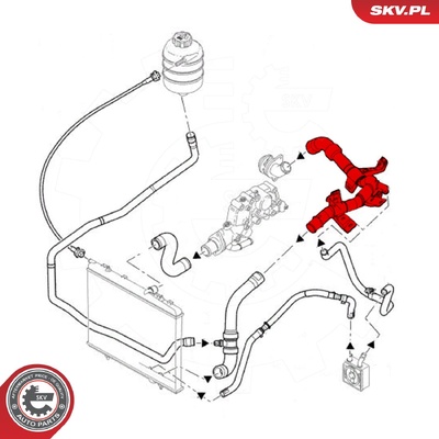 PEUGEOT 206 RADIATOR HOSE | OEM 1351CL