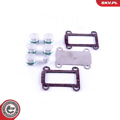 ALFA ROMEO 2.4 JTD MULTIJET FIAT 2.4 JTD MULTIJET LANCIA 2.4 JTD MULTIJET REPAIR KIT