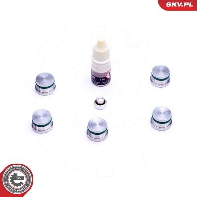 ALFA ROMEO 2.4 JTD MULTIJET FIAT 2.4 JTD MULTIJET LANCIA 2.4 JTD MULTIJET REPAIR KIT