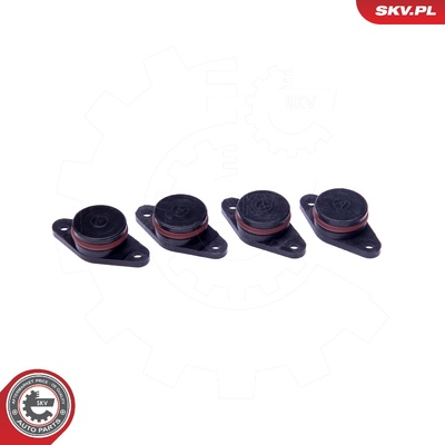 BMW M47 REPAIR KIT | OEM 4X22MM