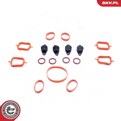 BMW 2.0 M47 REPAIR KIT | OEM 4X22MM