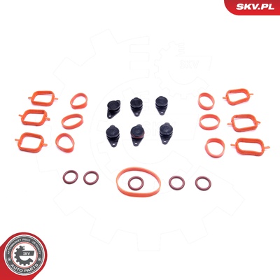 BMW E39 E60 E46 E53 E90 E83 M57 REPAIR KIT | OEM 6X22MM
