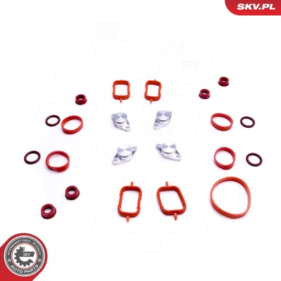 BMW E46 X3 E83 E60 E90 M47 M47N REPAIR KIT | OEM 4X22MM