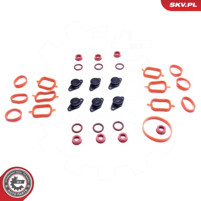 BMW E39 E60 E46 E53 E90 E65 M57 REPAIR KIT | OEM 6X22MM