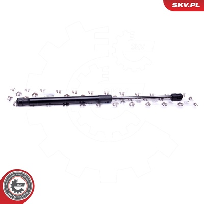 AUDI TT GAS SPRING, TAILGATE | OEM 8N8827552B