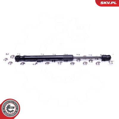 AUDI A6 C6 GAS SPRING, TAILGATE | OEM 4F5827552