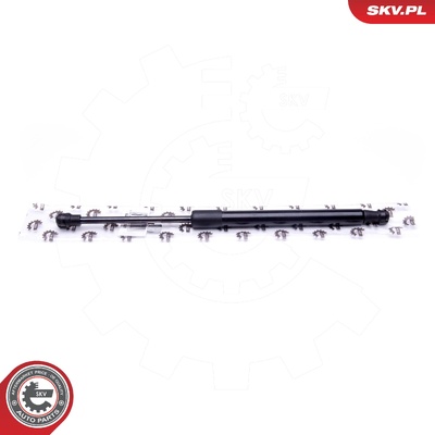 BMW 3 SERIES E46 GAS SPRING, TAILGATE | OEM 51244212802