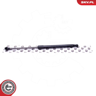 BMW 1 SERIES E81 GAS SPRING, TAILGATE | OEM 51247060622