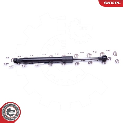 FORD FOCUS SEDAN GAS SPRING, TAILGATE | OEM 1124003