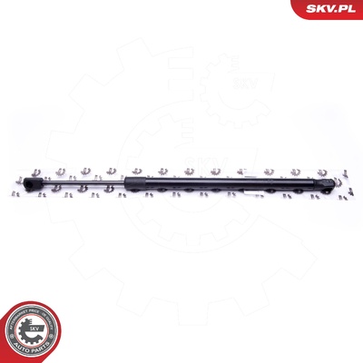 FORD FOCUS GAS SPRING, TAILGATE | OEM 3M51A406A10AB