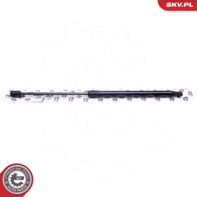 HYUNDAI GETZ GAS SPRING, TAILGATE | OEM 817701C001