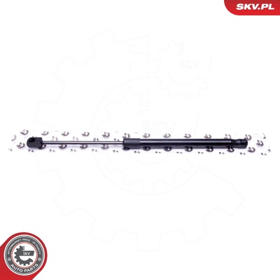 RENAULT CLIO II GAS SPRING, TAILGATE | OEM 7700842256