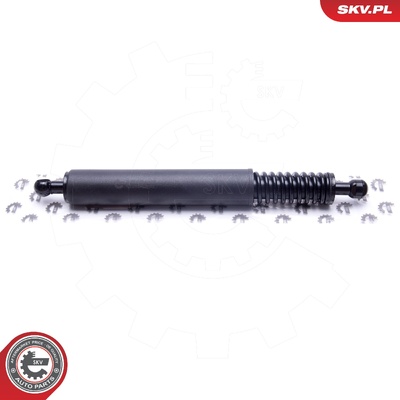 MERCEDES R-CLASS GAS SPRING, TAILGATE | OEM 2519801064