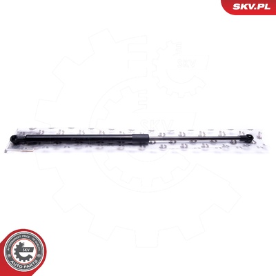 BMW 1 SERIES F20, F21 GAS SPRING, TAILGATE | OEM 51247239871