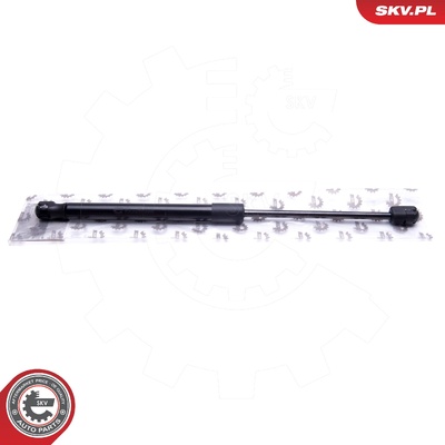 RENAULT CLIO II GAS SPRING, TAILGATE | OEM 6020014070